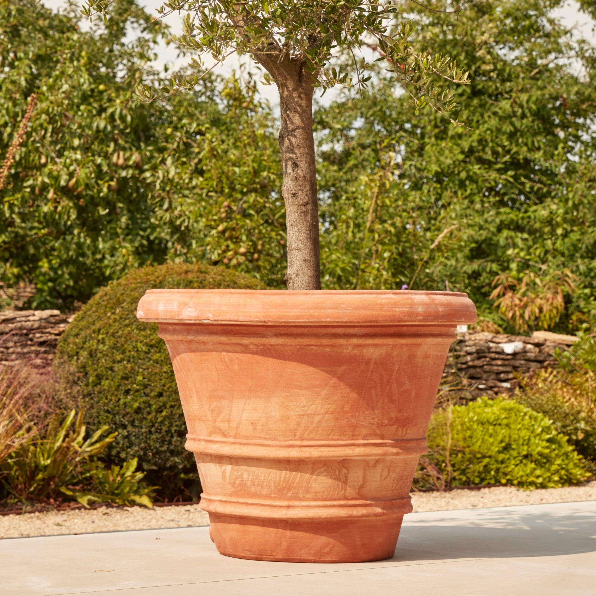 Verona 100cm Large Terracotta Plant Pot  Outdoor Frostproof Pot  H80cm X W100cm  Durable Hand Crafted Garden Terracotta Pot With Drainage Hole